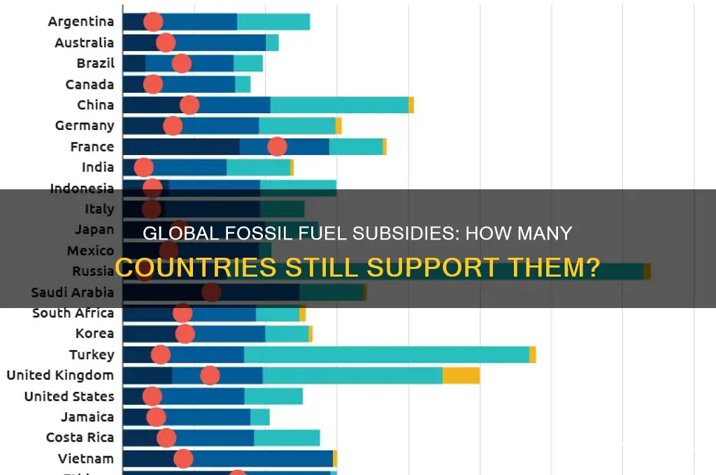 how many countries have fossil fuel subsidies
