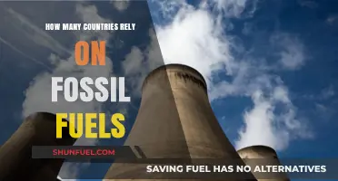 Global Dependence: How Many Nations Still Rely on Fossil Fuels?