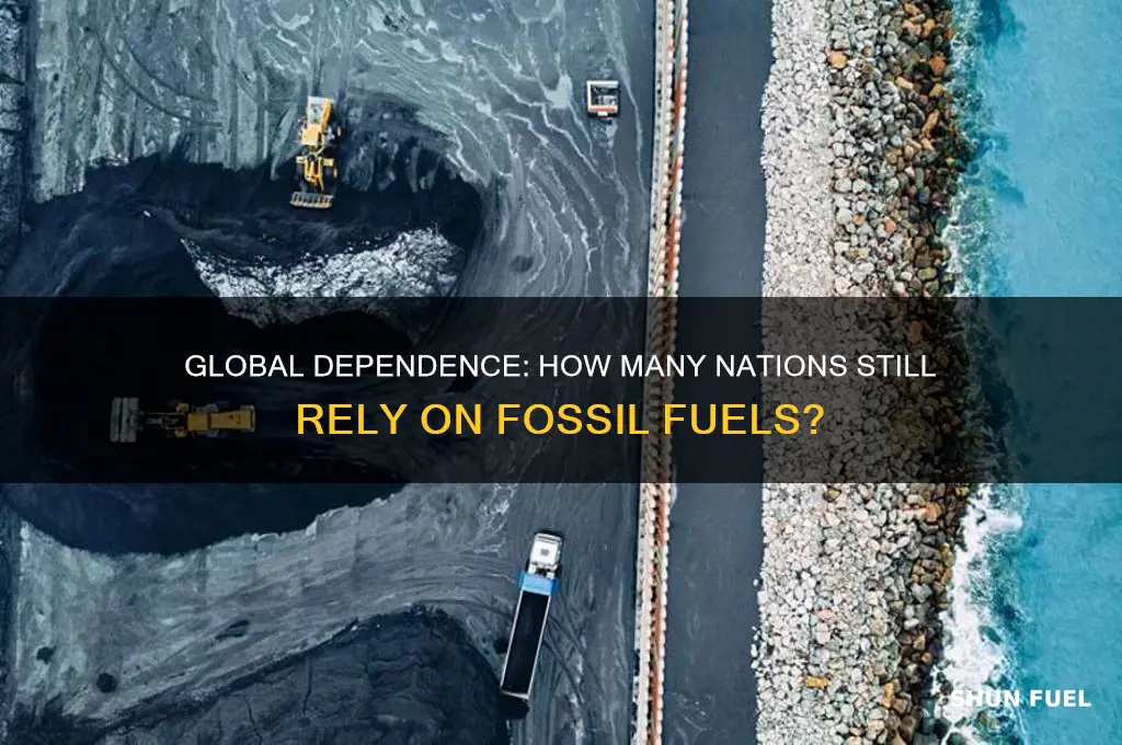 how many countries rely on fossil fuels
