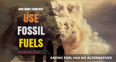 Global Fossil Fuel Dependence: How Many Nations Still Rely on Coal, Oil, and Gas?