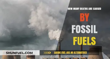 Fossil Fuels' Deadly Impact: Uncovering the Global Death Toll