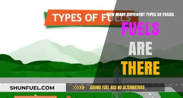Exploring the Diverse World of Fossil Fuels: Types and Uses