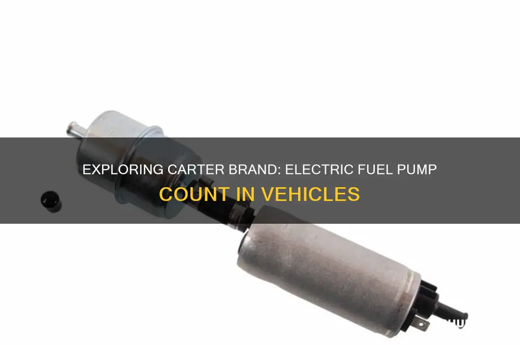 how many electric fuel pumps in carter brand