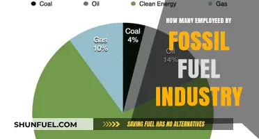 Fossil Fuel Industry Employment: Unveiling the Global Workforce Numbers