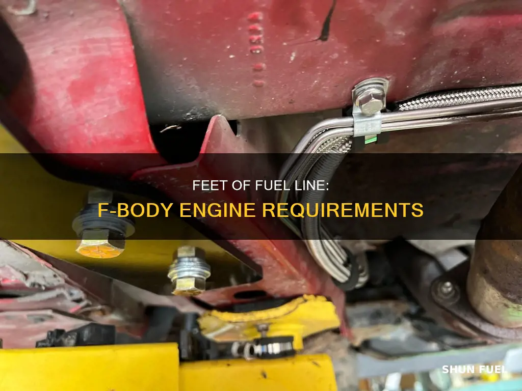 how many feets of fuel line for fbody