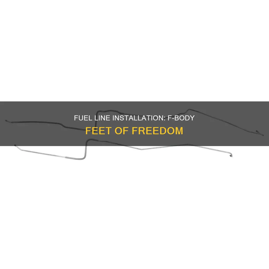 how many feets of fuel line for fbody