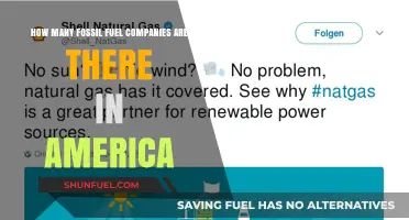 Exploring the Vast Landscape of Fossil Fuel Companies in America