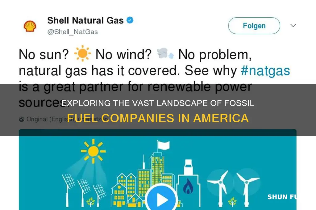 how many fossil fuel companies are there in america