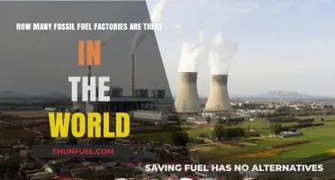 Global Fossil Fuel Factories: Counting the World's Energy Powerhouses