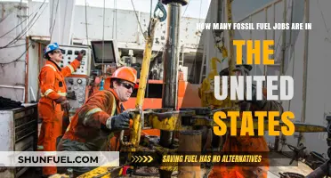 Exploring the Scale of Fossil Fuel Employment in the U.S
