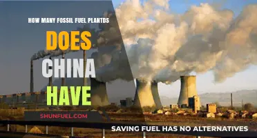 China's Fossil Fuel Plants: Counting the Nation's Energy Infrastructure