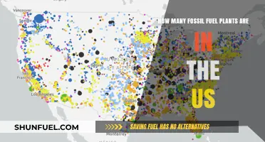 Exploring the Number of Fossil Fuel Plants Operating in the US