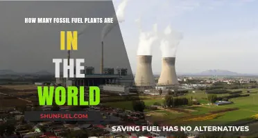 Global Fossil Fuel Plant Count: Unveiling the World's Energy Infrastructure