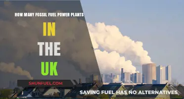UK's Fossil Fuel Power Plants: Current Numbers and Future Trends