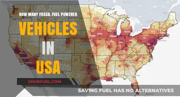 Fossil Fuel Vehicles in the USA: Current Numbers and Trends