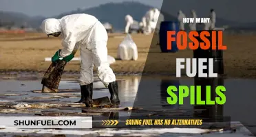 Uncovering the Devastating Frequency of Fossil Fuel Spills Worldwide