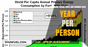 Annual Fossil Fuel Consumption: Personal Impact on Global Energy Use