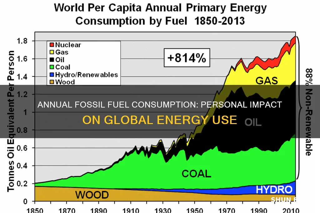 how many fossil fuels are burned each year per person