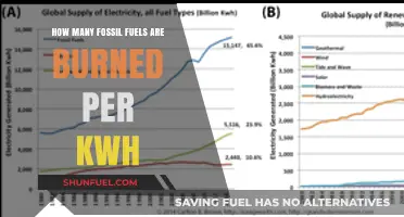 Fossil Fuel Consumption: Unveiling the kWh Burning Reality