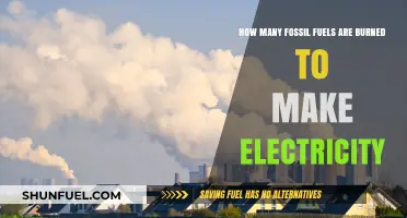 The Hidden Cost: Fossil Fuels Powering Our Electricity Generation