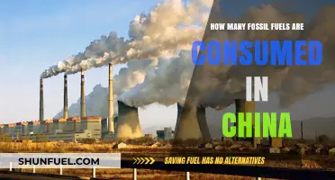 China's Fossil Fuel Consumption: Unveiling the Scale and Impact