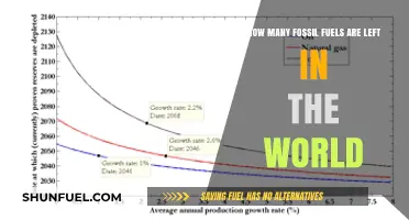 Remaining Fossil Fuels: Global Reserves, Depletion Rates, and Future Outlook