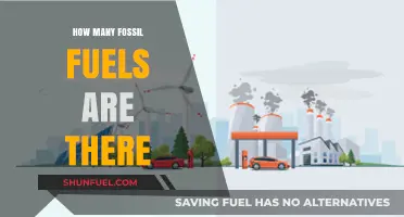 Exploring the Three Primary Fossil Fuels and Their Impact
