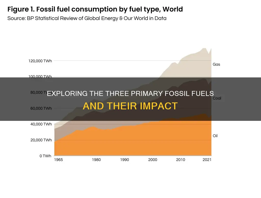 how many fossil fuels are there