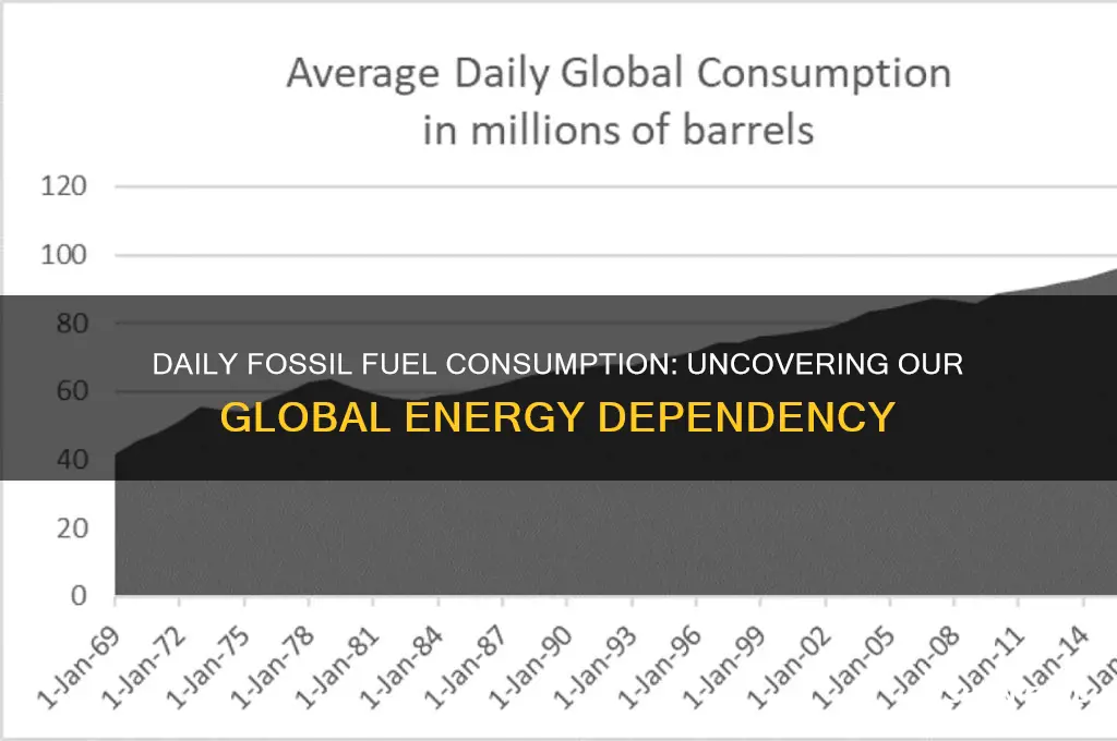 how many fossil fuels are used each day