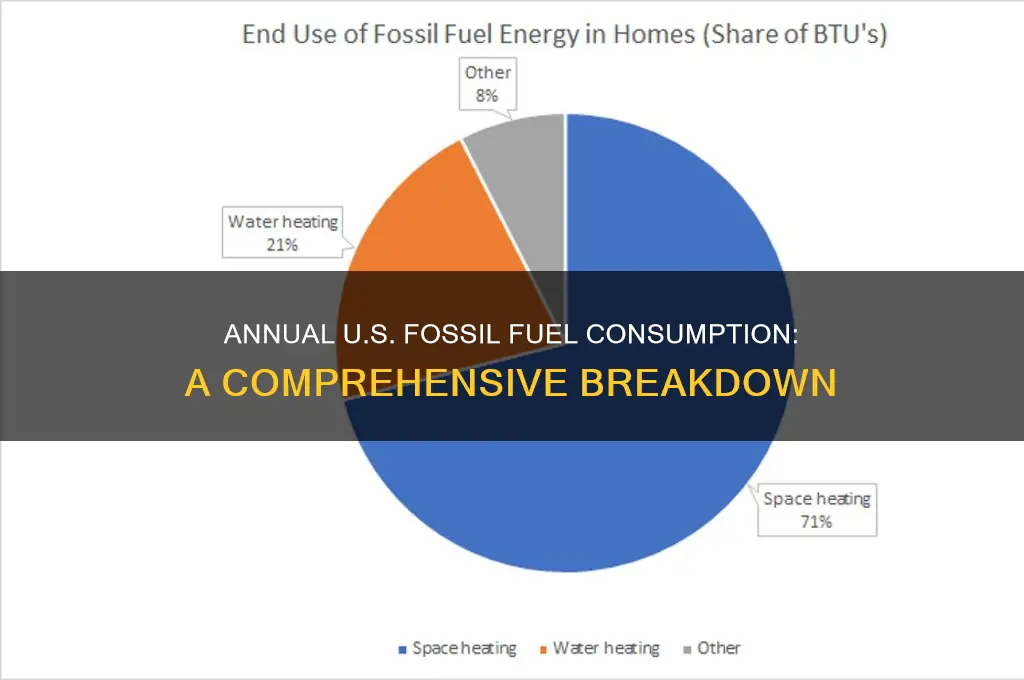 how many fossil fuels are used each year in usa