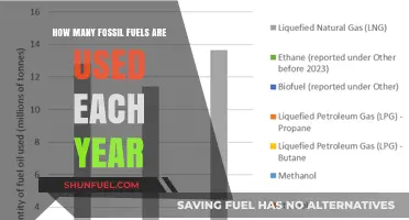 Annual Fossil Fuel Consumption: Tracking Global Energy Usage Trends