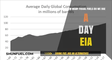 Daily Fossil Fuel Consumption: EIA Insights on Energy Usage
