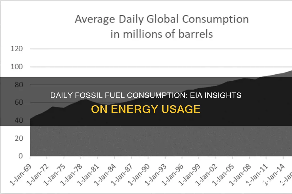 how many fossil fuels do we use a day eia