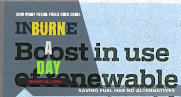 China's Daily Fossil Fuel Consumption: A Staggering Energy Demand