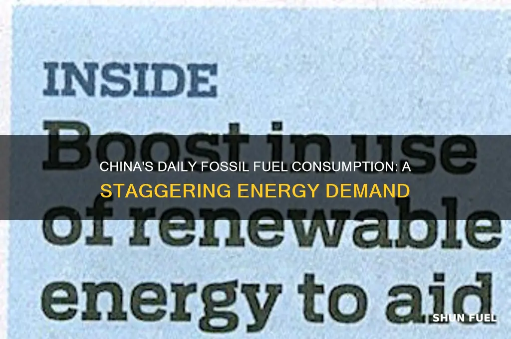 how many fossil fuels does china burn a day
