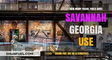 Savannah, Georgia's Fossil Fuel Consumption: A Detailed Analysis