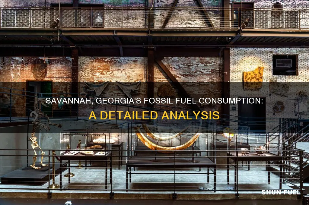 how many fossil fuels does savannah georgia use