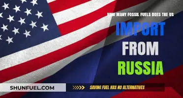 US Energy Imports: Analyzing Fossil Fuel Reliance on Russia