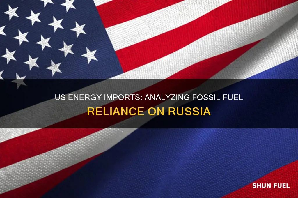 how many fossil fuels does the us import from russia