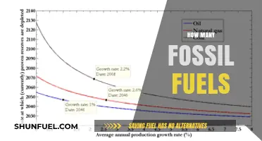 Understanding the Global Reserves: How Many Fossil Fuels Remain?