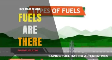 Exploring the Limited Types of Fossil Fuels Powering Our World