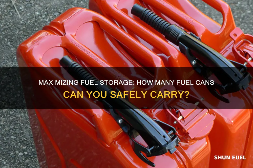 how many fuel cans can i carry