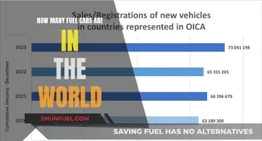 The World's Fuel Cars: Counting the Gas-Powered Vehicles