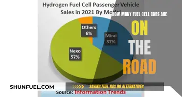 The Rise of Fuel Cell Cars: A Global Count