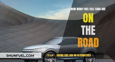 Fuel Cell Cars: Road Revolution or Roadblock?