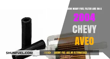 Fuel Filter Facts for 2004 Chevy Aveo Owners