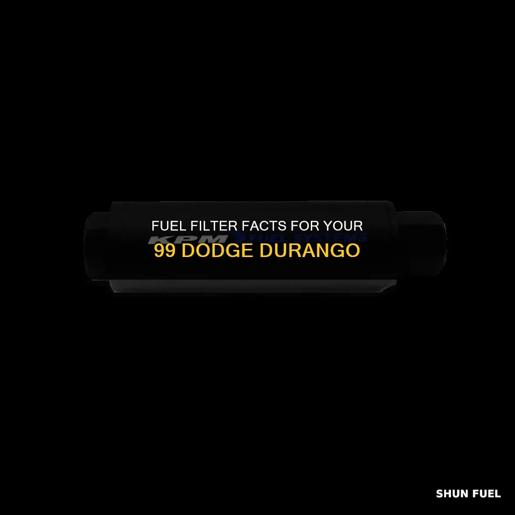 how many fuel filter are on a 99 dodge durango