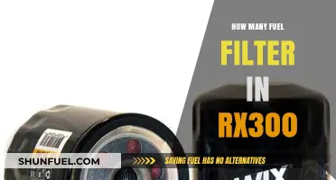 Fuel Filters in the Lexus RX300: How Many?