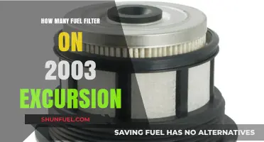 Fuel Filter Facts for 2003 Excursion Owners