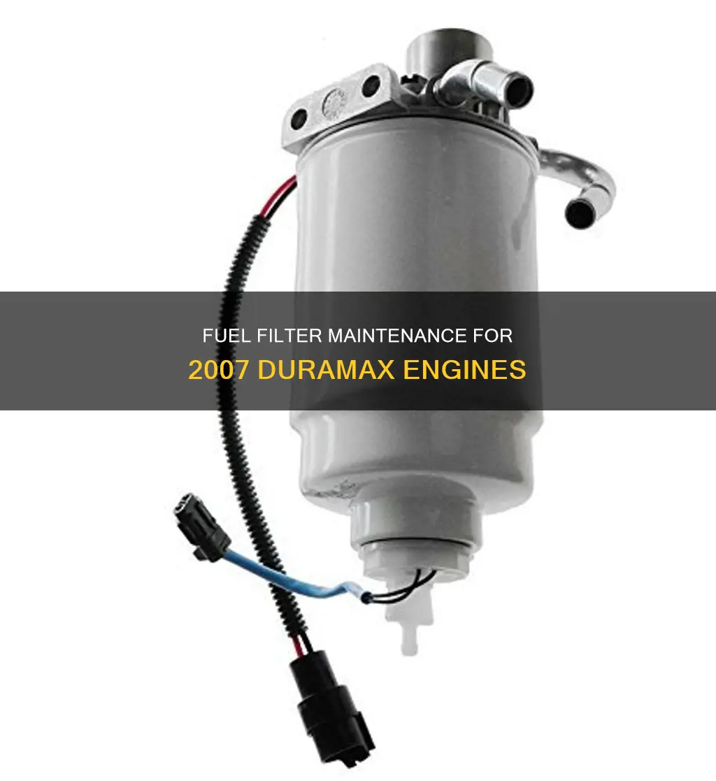 how many fuel filter on 2007 duramax